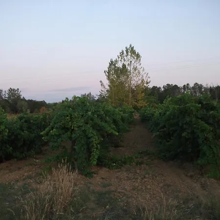 Casa Branca * Mealhada