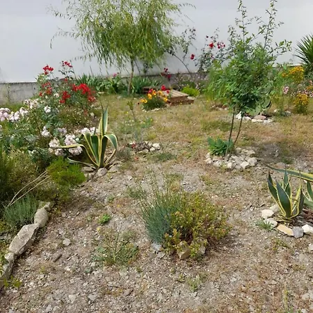 Holiday home Casa Branca Mealhada