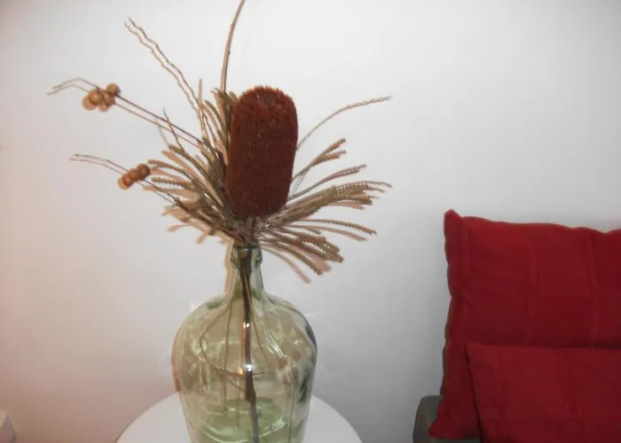 Casa vacanze Casa Branca Mealhada