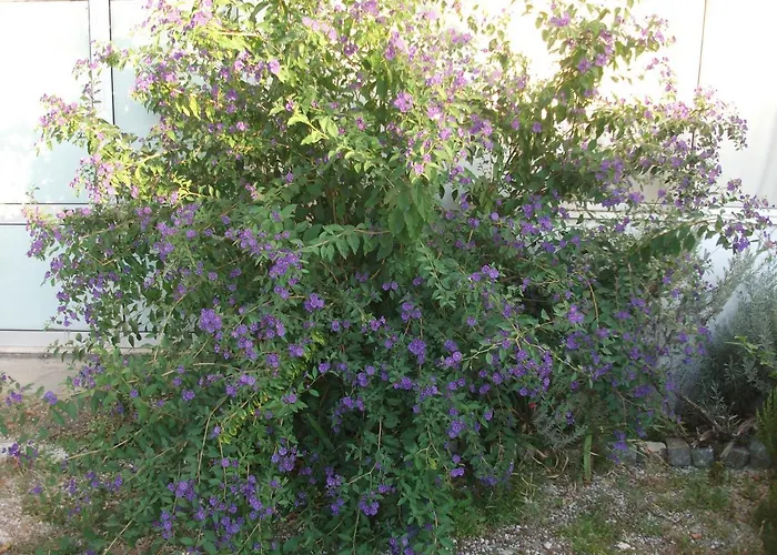 Casa vacanze Casa Branca Mealhada