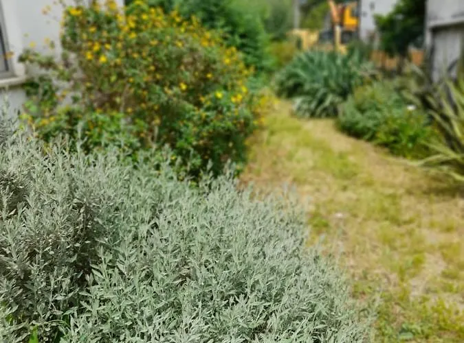 Casa Branca Casa vacanze
